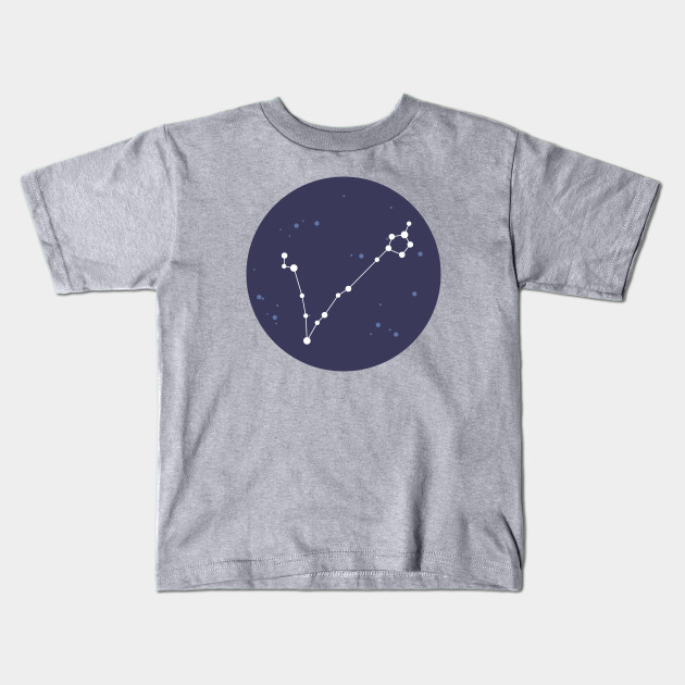 Pisces Constellation